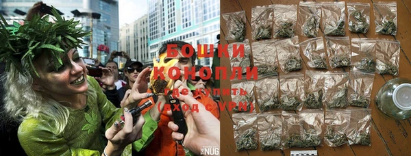 PSILOCYBIN Зерноград