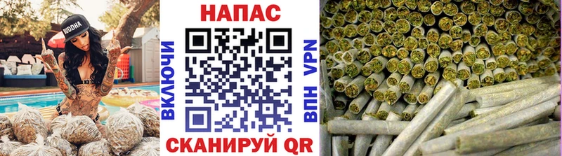 Купить закладки  Дмитров  Канабис SATIVA & INDICA 